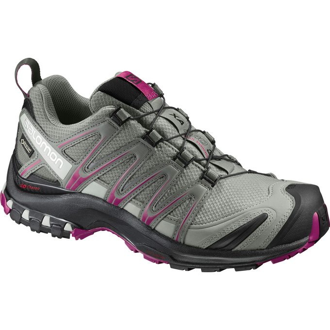 Zapatillas Trail Running Salomon Mujer Plateadas - Salomon Argentina XA PRO 3D GTX® W ,674398-EJK